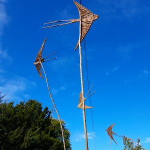 Weave a Swallow: Saturday 25th April 2026 (Half Day Course)